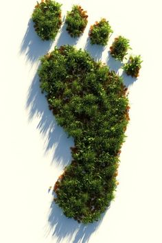 an animal paw made out of grass and dirt