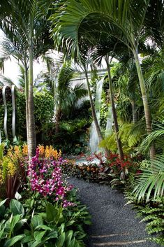 a garden filled with lots of plants and flowers next to tall palm trees on either side of the path