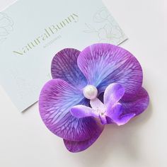 Capture the beauty of a blooming moth orchid flower with this vivid Phalaenopsis Orchid Hair Clip. Its side clip ensures a secure hold, while its stunning appearance will make you stand out in any crowd. Perfect for weddings, anniversaries, birthdays, or a cozy evening, it adds a touch of elegance to any occasion. Dimensions: 10cm*8cm Materials: Artificial flower, imitation pearl, alloy Hawaiian Flower Hair, Orchid Hair, Floral Hair Accessories, Moth Orchid, Floral Accessories Hair, Cozy Evening, Elegant Hair, Phalaenopsis Orchid, Purple Orchids