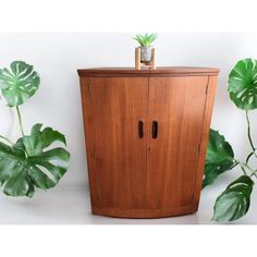 a tall wooden cabinet next to a potted plant