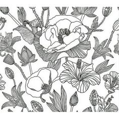 a black and white drawing of flowers