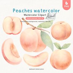 peaches watercolor clipart set