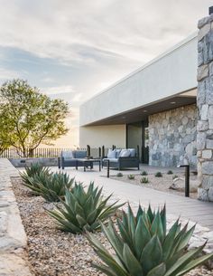 an outdoor patio with chairs and succulents on the ground near a stone wall