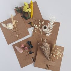 four different types of flowers are placed on brown envelopes with white and yellow flowers