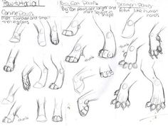 some feet and hands are shown in this drawing lesson for beginners to learn how to draw