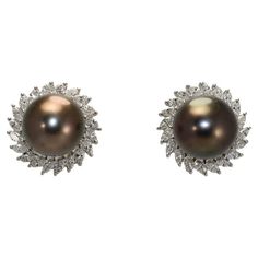 Ladies custom made Tahitian pearl and diamond earrings in 18k white gold settings. Stamped 18k and weigh 15.9 grams gross weight. The Tahitian pearls measure 12.5mm to 13mm, excellent luster. On the sides are a halo of marquise shape diamonds, 3.00 total carats, F,G, H color range, Si clarity. There posts with clip backs for pierced ears. Excellent condition. Tahitian Pearl Earrings, Marquise Shape Diamond, Pearl And Diamond Earrings, Tahitian Pearls, Pierced Ears, Pearl White, Ear Piercings, Diamond Earrings, Halo