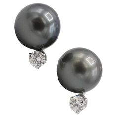 Tahitian Black Pearl & Natural Diamond White Gold Earrings Metal: 14k white gold Weight: 5.89 grams Length: 16mm Pearls: Black Tahitian 11mm pearls Diamonds: Approx. 0.50 CTW G VS natural round diamonds Backs: Push backs Black Pearl Earrings, Halo Diamond Earrings, White Gold Studs, Tahitian Black Pearls, Halo Earrings Studs, White Gold Earrings, Pearl Diamond, Modern Earrings, Pearl Stud Earrings