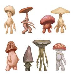 several different types of mushrooms are shown in this drawing, and each mushroom has its own individual body