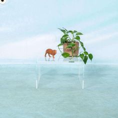 an animal that is standing next to a plant on a glass table in the water