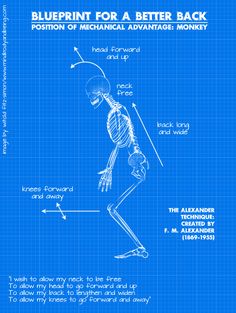 Presentation Pictures, Mechanical Advantage, Career Vision Board, Core Stability, Neck And Shoulder Pain, Senior Health, Massage Benefits, Healing Arts