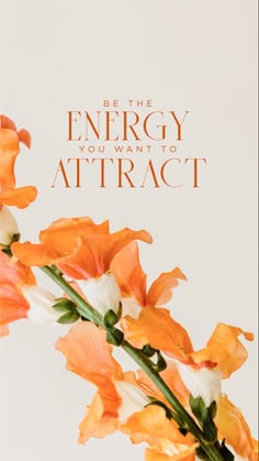 an orange and white flower with the words, be the energy you want to attract