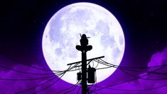 a bird sitting on top of a telephone pole in front of a full purple moon