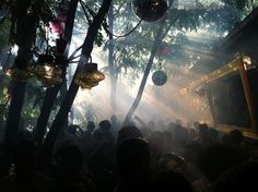 a group of people standing in front of trees with lights coming through the trees and disco balls hanging from them