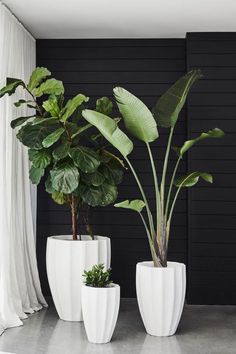 three white planters with plants in them sitting on a floor next to a window