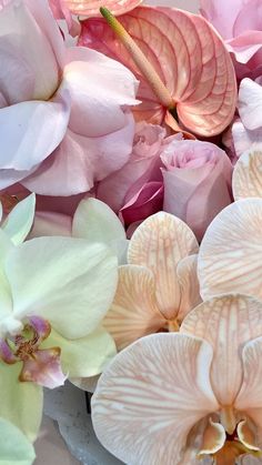 pink and white flowers are in a bowl