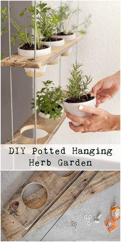 diy potted hanging herb garden with text overlay