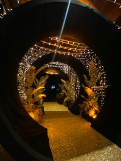 a tunnel with lights and plants in it