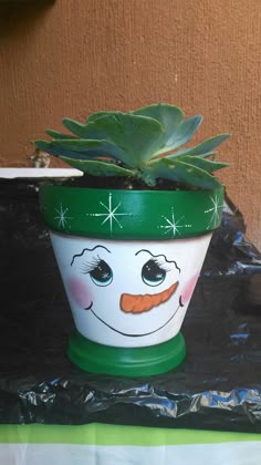 a potted plant with a snowman face painted on it