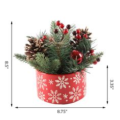 a potted plant with pine cones and red berries in it on a white background