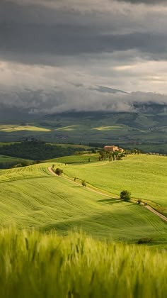 the rolling hills are covered in green grass