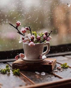 a cup with flowers in it sitting on top of a wooden table next to a window