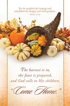 a thanksgiving card with pumpkins and gourds