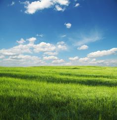 green field with blue sky and clouds in the background royalty photo - free stock image