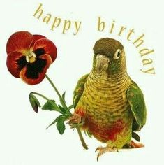 a bird sitting on top of a flower next to a happy birthday card with an image of a parrot