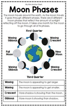 moon phases worksheet for kids to learn how to read the moon in english