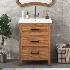 a bathroom vanity with a mirror above it and a potted plant next to it