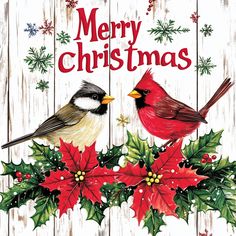 two birds sitting on top of holly leaves with merry christmas written in the center and red berries