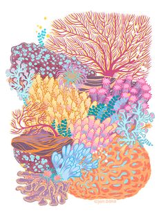 a calendar with colorful corals and plants on it