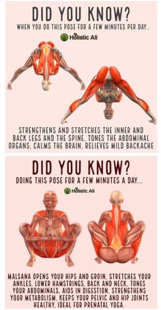 the muscles and their functions are shown in this diagram, which shows how they work