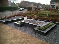 an outdoor garden with gravel and plants in it