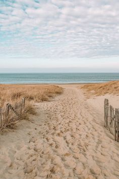 a sandy path leading to the ocean on a cloudy day