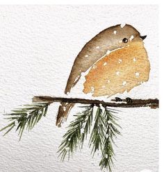 a watercolor painting of a bird perched on a branch with pine needles in the foreground