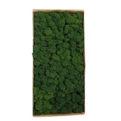 a box filled with lots of green broccoli on top of a white background