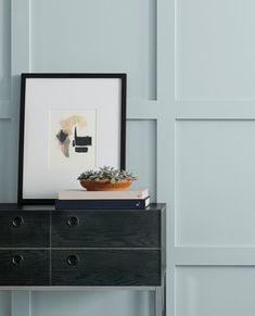 a black dresser with a potted plant on top and a framed photograph above it