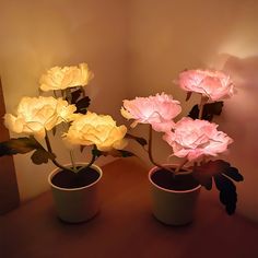 three potted plants with pink and white flowers in them sitting on a brown table