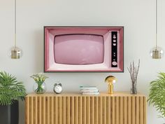 an old fashioned tv sitting on top of a wooden cabinet next to potted plants