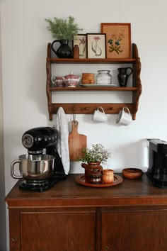 a kitchen counter with coffee maker, potted plant and other items on it's shelf