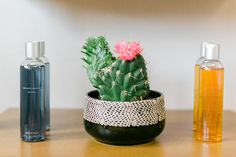 a small cactus in a black pot next to two bottles and a bottle of cologne