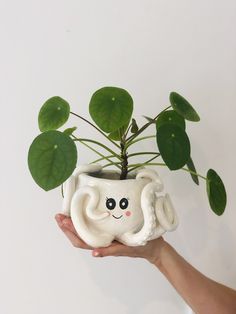 a hand holding a small plant with an elephant face on it