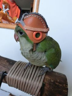 a green bird with an orange helmet on top of it's head