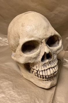 a human skull sitting on top of a white sheet