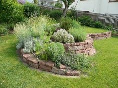 a garden with lots of green grass and plants in the center, surrounded by rocks