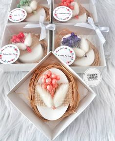 four boxes filled with different types of birds'nests on top of white fur