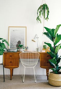 two chairs and a table with plants on it in front of a wall mounted plant