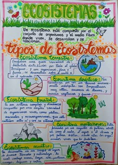 a poster with spanish words and pictures on it