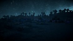 the sky is filled with stars and trees in this dark night time scene from minecraft